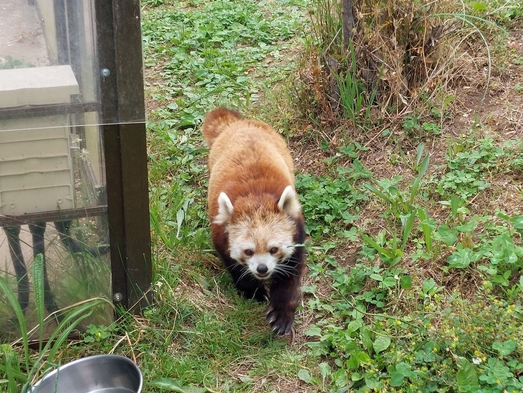 【茶臼山動物園チケット付き】一泊二食バイキングプラン